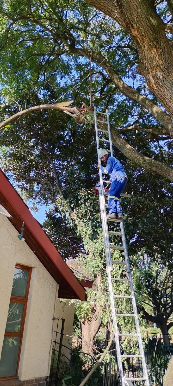 Property Maintenance